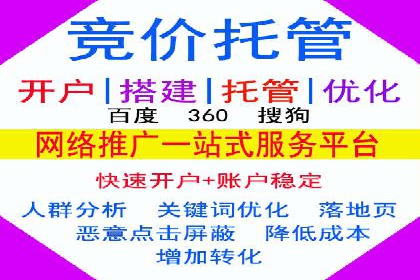 某公司通过百度竞价实现业务快速增长的案例